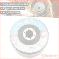 10-pack Toolwelle lamellen slijpschijven