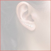 Trendy ear cuffs oorbellen