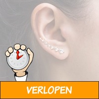 Trendy ear cuffs oorbellen