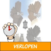 Handschoenen van echt rundleder