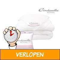 Cinderella 4-seizoenen dekbed