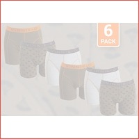 6-pack Vinnie-G boxershorts