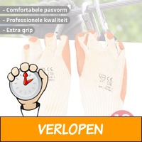 10 Pack Grip Werkhandschoenen Proline