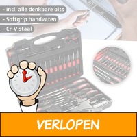 Toolwelle Schroevendraaierset met Bitset