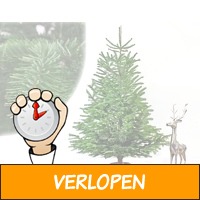 Nordmann Kerstbomen