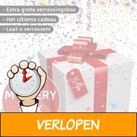 Wilpe verrassingsbox XXL