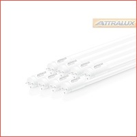 8 x Attralux LED-buizen 60/120cm