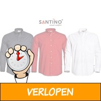 Button down herenshirt in 3 kleuren