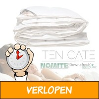 Ten Cate 4-seizoenen ganzendons dekbed