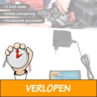 Smart Accutrainer Lader 12V 250AH