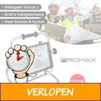 Promax bouwlamp 1000W