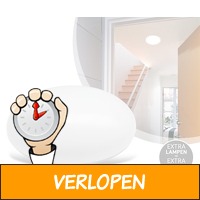 LED-plafonniere inclusief LED-lamp