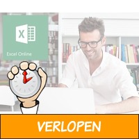 Online Microsoft Excel cursus