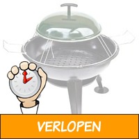 Vuurschaal, pizza-oven en barbecue