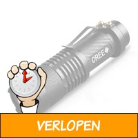 Mini-zaklamp met CREE-LED lampjes