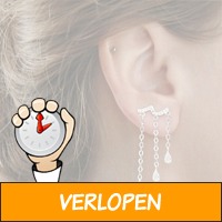 Diamond waterdrop oorbellen