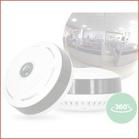 360 graden Fisheye IP-camera