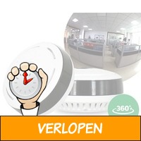 360 graden Fisheye IP-camera