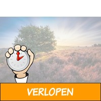 3 dagen in het groene hart van de Veluwe