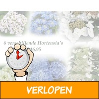 6 Verschillende Soorten Hortensia's