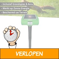 Isotronic Solar Wild Verjager