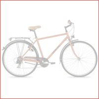 Stokvis Retro S7 Hybride fiets