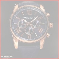 Akribos XXIV Enterprise Swiss Quartz Mul..