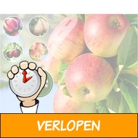 Set van 4 winterharde fruitbomen