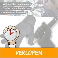 Proline Oesterhandschoenen