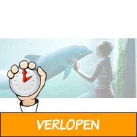 Dagje Dolfinarium Harderwijk