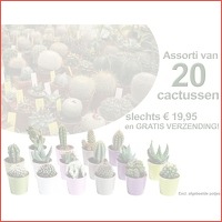 20 verschillende cactussen