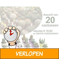 20 verschillende cactussen