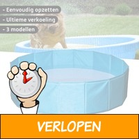 AniQare dierenzwembad