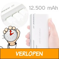 Giga 12.500 mAh universele powerbank