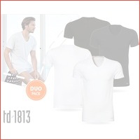 Twee td1813 T-shirts rond of V-hals