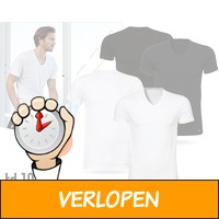 Twee td1813 T-shirts rond of V-hals