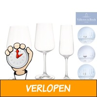 12-delige Villeroy & Boch Ovid glazenset