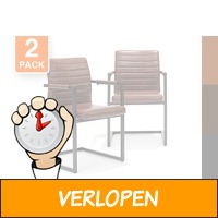 Set van 2 stoere eethoekstoelen