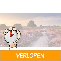 2- of 3-daagse autovakantie Gelderland