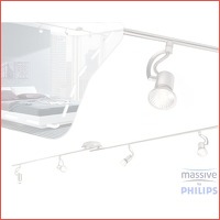 Massive by Philips spotlamp