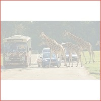 Safaripark Beekse Bergen