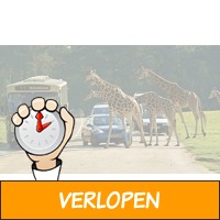 Safaripark Beekse Bergen