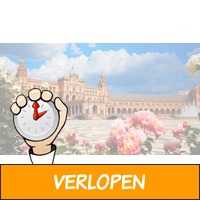 4-daagse vliegreis Sevilla incl. excursie