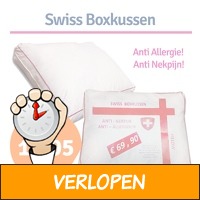 Swiss boxkussen