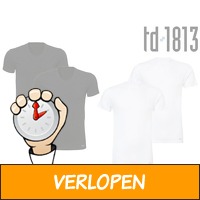 2 x TD1813 Basic T-Shirt