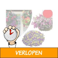 4 gevulde hanging baskets