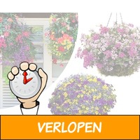 4 gevulde Hanging Baskets