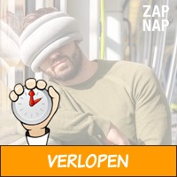 Zap Nap reiskussen