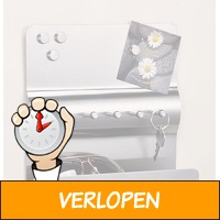 Sleutelkastje RVS met magneetbord