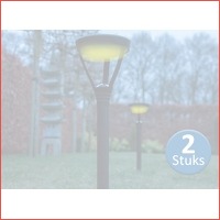 2 x LED Solar buitenlampen met grondpin